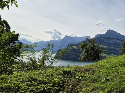 Foto de alinradu a lo largo del recorrido