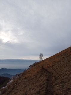 Foto von Aner entlang der Tour