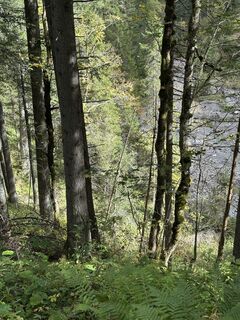 Fotografija s spletne strani Tobias Walter na poti