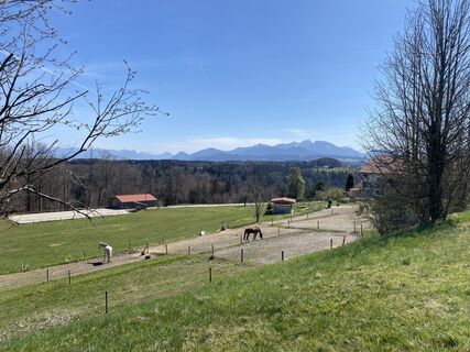 Fotografie z Sven Krieblin na trase