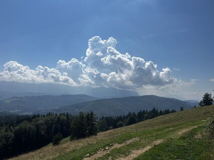 Foto von Sigmar Wimmer entlang der Tour