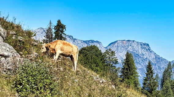 Foto von Berchtesgaden TV entlang der Tour