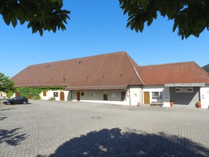 Kelter Hohenhaslach