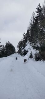 Foto von Claudia Hinteregger entlang der Tour