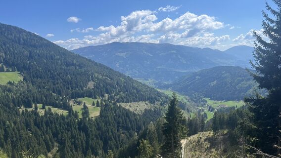 Fotografija s spletne strani Jürgen Petz 1 na poti