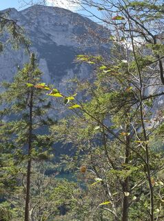 Foto von Reise5 Koenigin entlang der Tour