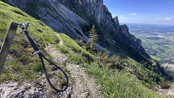 Foto von Mountain Cat ? ⛰️ entlang der Tour