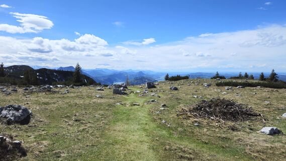 Photo de Werner le long du parcours