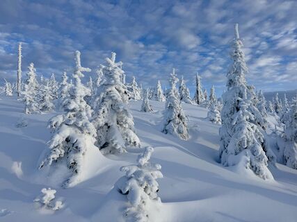 Foto von Natur_erleben_dg entlang der Tour
