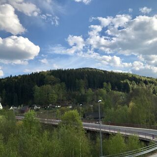 Blick zum Rothen Berg aus Richtung Bermsgrün