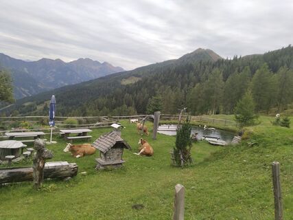 Photo de Jozko Mrkvicka 1 le long du parcours