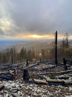 Fotografia z Thilo Landau na trase