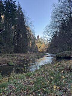 Fotografia z Steffen Kiesel na trase