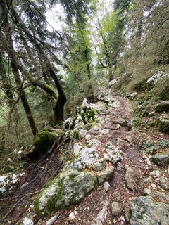 Foto da Arthur Muskalla lungo il tour