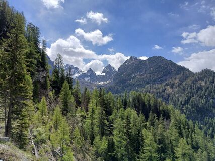 Fotografija s spletne strani Martin Lobenwein na poti