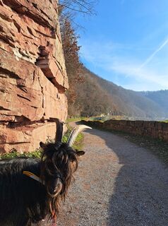 Fotografija s spletne strani Schwartzhox na poti