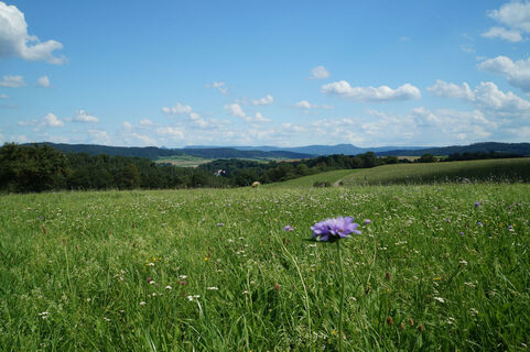 Albpanorama auf dem Warrenberg-Rundweg