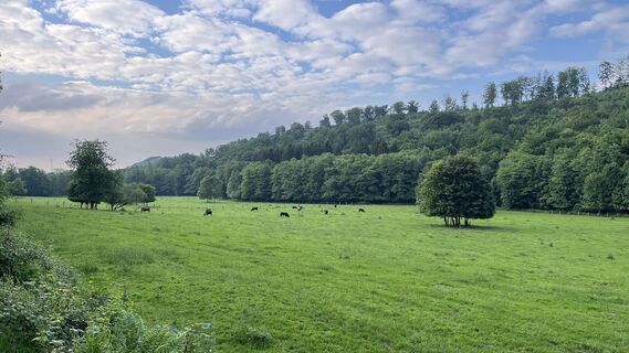 Foto von Siggi unterwegs entlang der Tour
