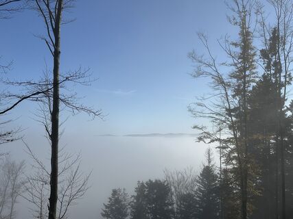 Fotografia z Maxime muller na trase