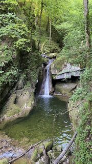 Foto från Michael Jung under resans gång