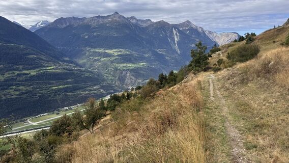 Fotografie de la peter_oe de-a lungul turului