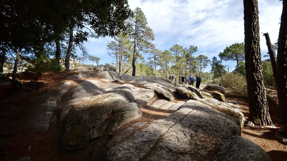 Photo de Franz Maier 8 le long du parcours