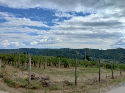 Fotografia z Tamás Kiss (Mr. Mojo) na trase