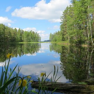 Suppen-Teich am Westufer von Lammassaari