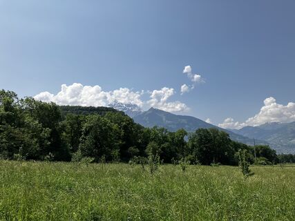 Foto von wisky entlang der Tour