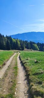 Foto från luca corsetti under resans gång