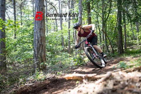 MTB Wienerwald