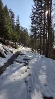 Foto von Axel Polleres entlang der Tour