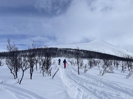 Fotografija s spletne strani Hels Walker na poti