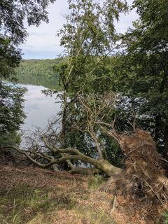Foto von Marko Gehrtz entlang der Tour