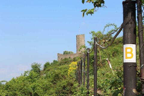 Burgruine Strahlenburg