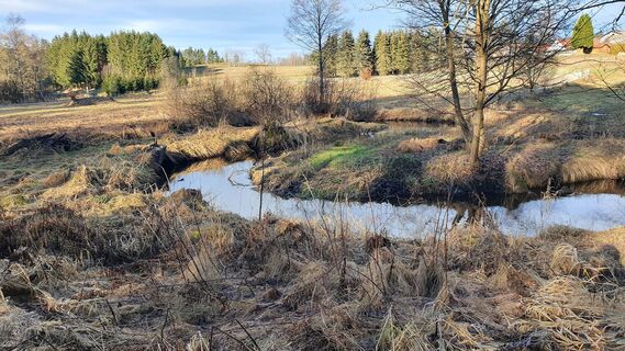 3.5 km Der Oberlauf des Braunaubaches