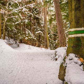 Winterwandern am Weg der Blicke Bad Schönau