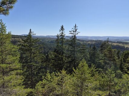 Foto von Wollomator entlang der Tour