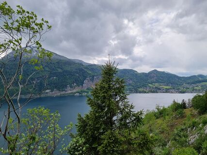 Foto von Christina Fröhlich entlang der Tour