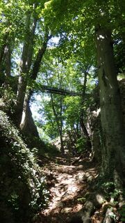 Brücke zur Burgruine Rosenstein