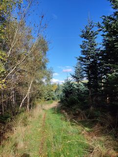 Foto von DevilsBastard entlang der Tour