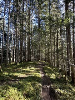 Zdjęcie z Babs Holz wzdłuż trasy