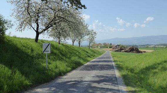Hariweg Richtung Monsberger Kapelle