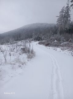 Fotografia z soeren Rennemann na trase