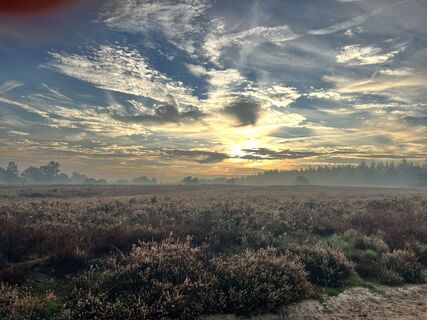 Photo de Marleen Blomsma le long du parcours