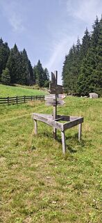 Photo de Albert Knollseisen le long du parcours