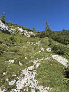 Fotografia z ghberthold na trase