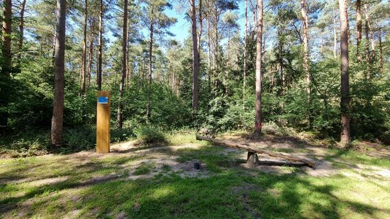 Station 4: Wippe
