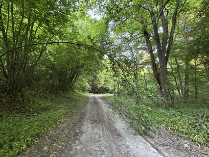 Photo de Reti Alicia le long du parcours