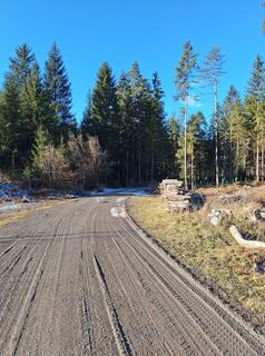 Foto von Dagmar Hofer entlang der Tour